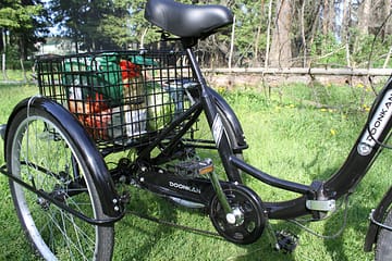 Электровелосипед трицикл Doonkan Trike 24 Трехколесный велосипед для взрослых складной 500w (102)