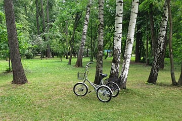 Трехколесный велосипед для взрослых взрослый для взрослого складной Трицикл Doonkan Trike 20 (46)